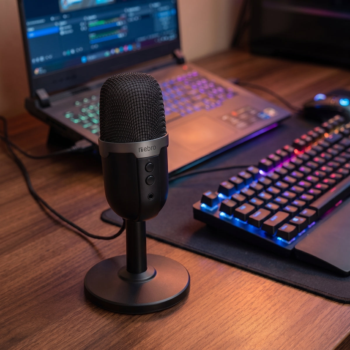 Micrófono Nebro WAT-097 Gamer Escritorio Luces RGB Plug And Play